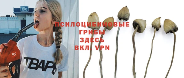 гашишное масло Богданович